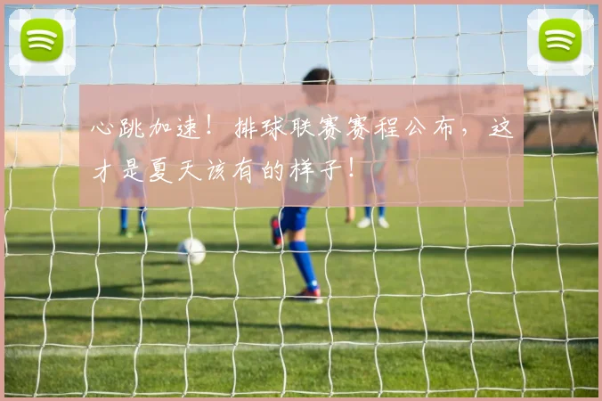心跳加速！排球联赛赛程公布，这才是夏天该有的样子！